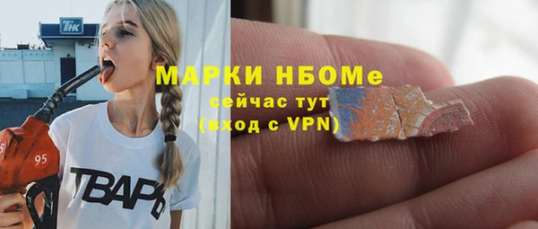 ГАЛЛЮЦИНОГЕННЫЕ ГРИБЫ Инсар