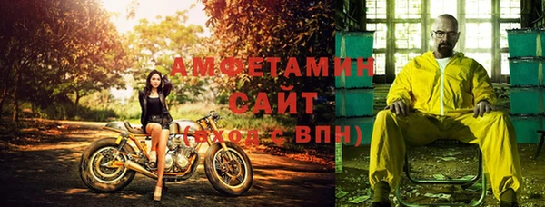 ГАЛЛЮЦИНОГЕННЫЕ ГРИБЫ Инсар