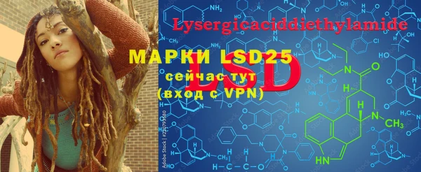 ГАЛЛЮЦИНОГЕННЫЕ ГРИБЫ Инсар