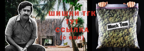 ГАЛЛЮЦИНОГЕННЫЕ ГРИБЫ Инсар