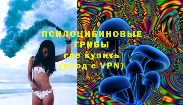 амф Зеленокумск