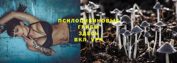ГАЛЛЮЦИНОГЕННЫЕ ГРИБЫ Инсар