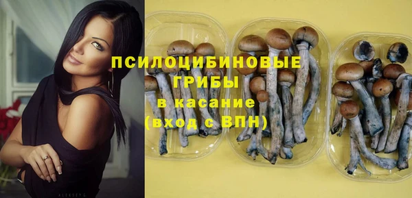 ГАЛЛЮЦИНОГЕННЫЕ ГРИБЫ Инсар