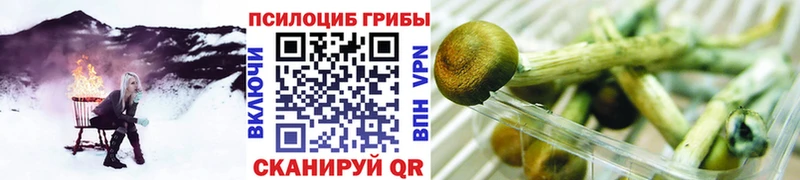 Купить Демидов Галлюциногенные грибы Cubensis