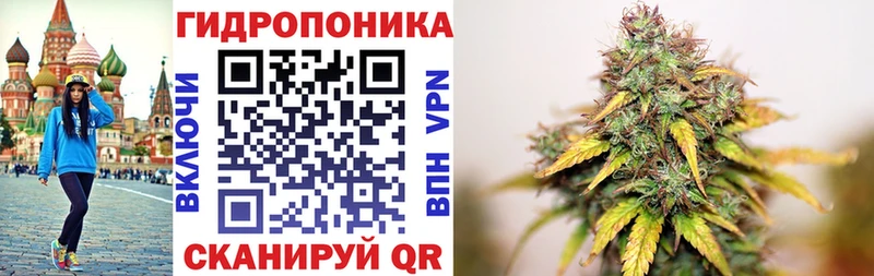 Купить закладки  Демидов  Бошки марихуана марихуана 